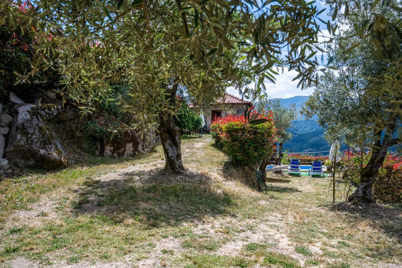Quinta Da Baldieira Мондим де Басто Екстериор снимка