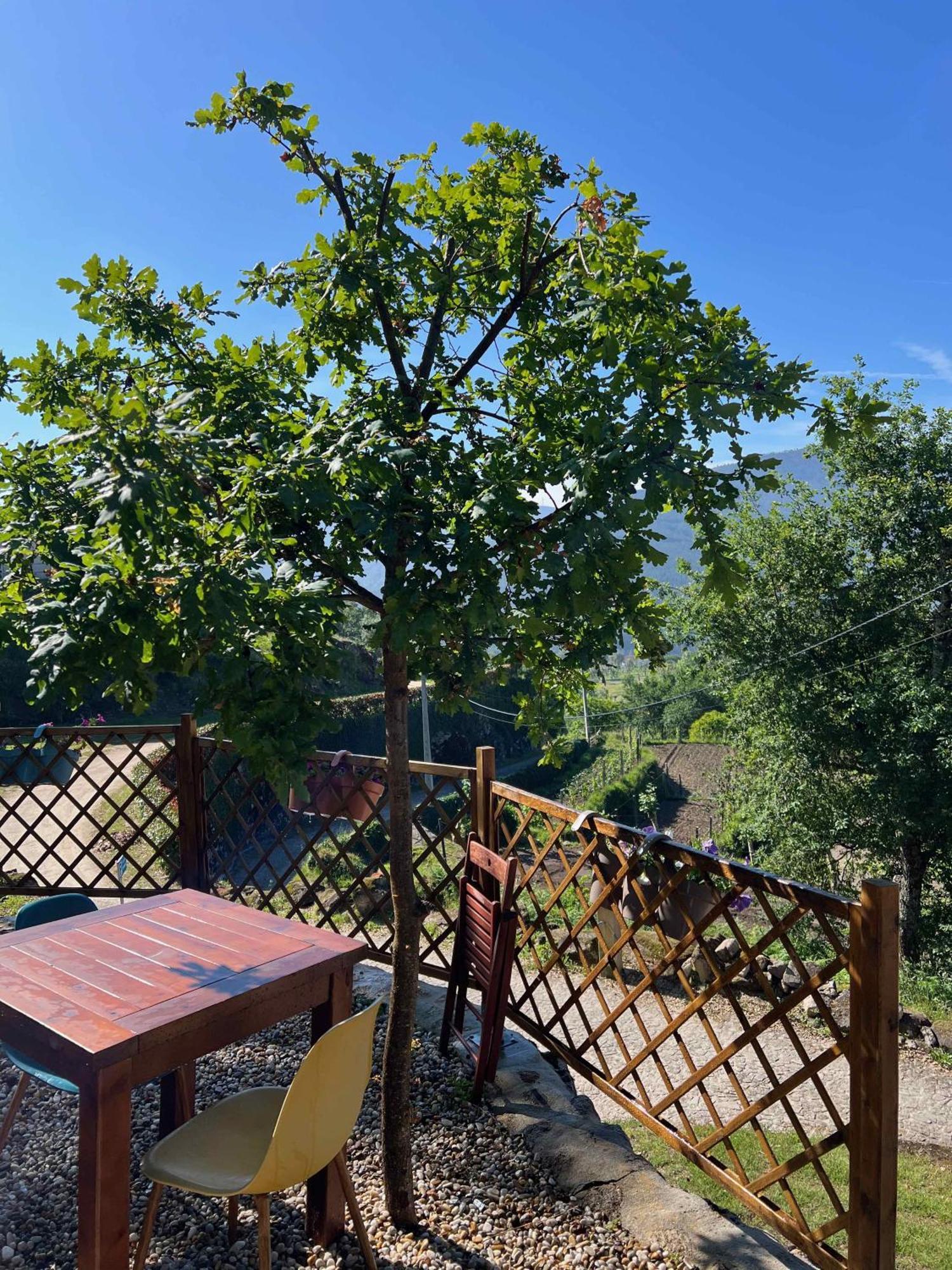 Quinta Da Baldieira Мондим де Басто Екстериор снимка
